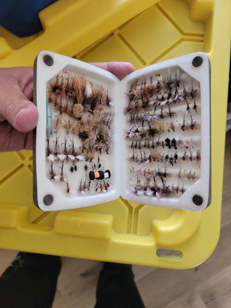 Flies