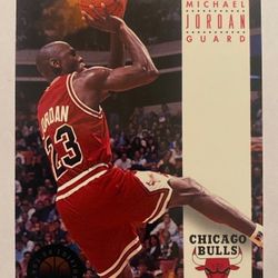 Michael Jordan Basketball Card!