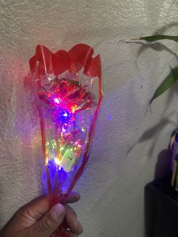Rosas Con Luces De Colores