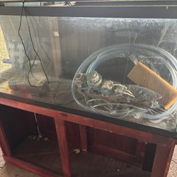 Aquarium 60 Gallons And Stand