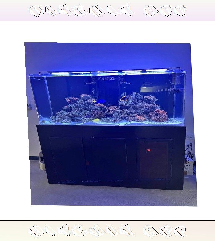 Top-Grade Aquarium Setup - Premium Quality Standard war beautiful