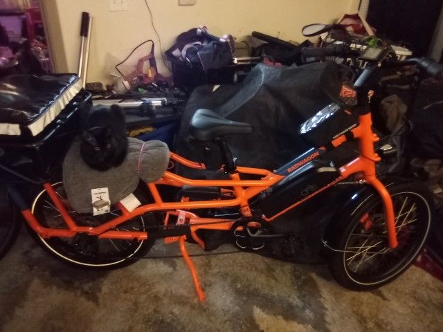 RADWAGON RAD POWER E BIKE