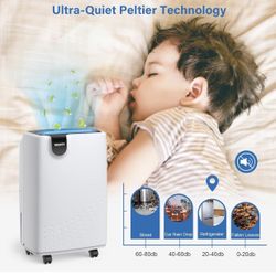 Dehumidifier, 2500 Sq. Ft.