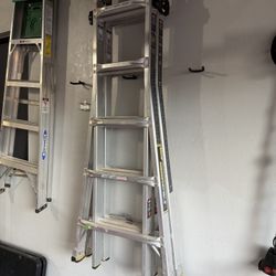 Gorilla Extension Ladder 