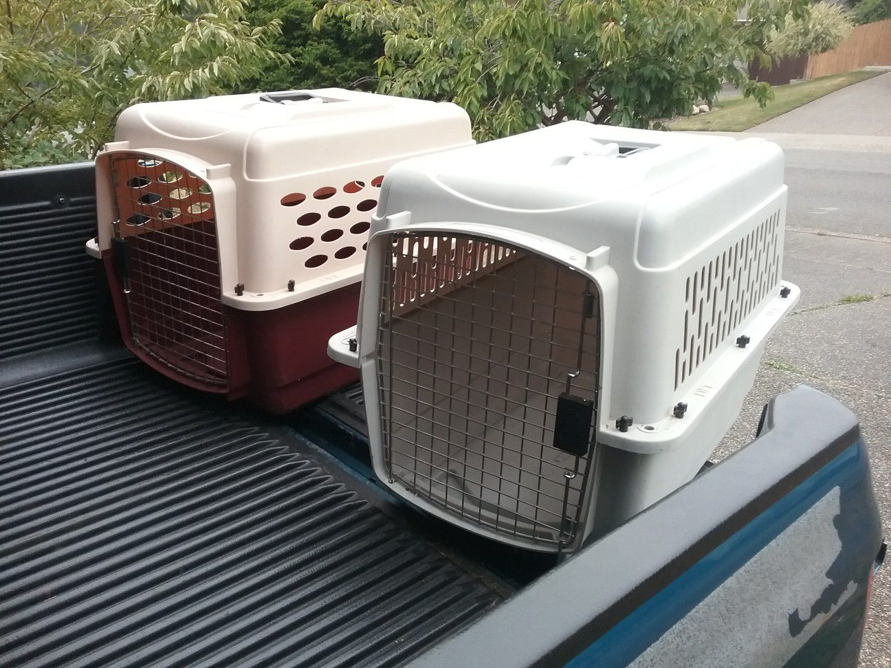 Medium Dog Kennel Crate Carrier Airline Approved like New 28" L by 20" W by 24" H $35 Each