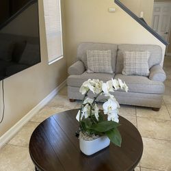 Two Sofas