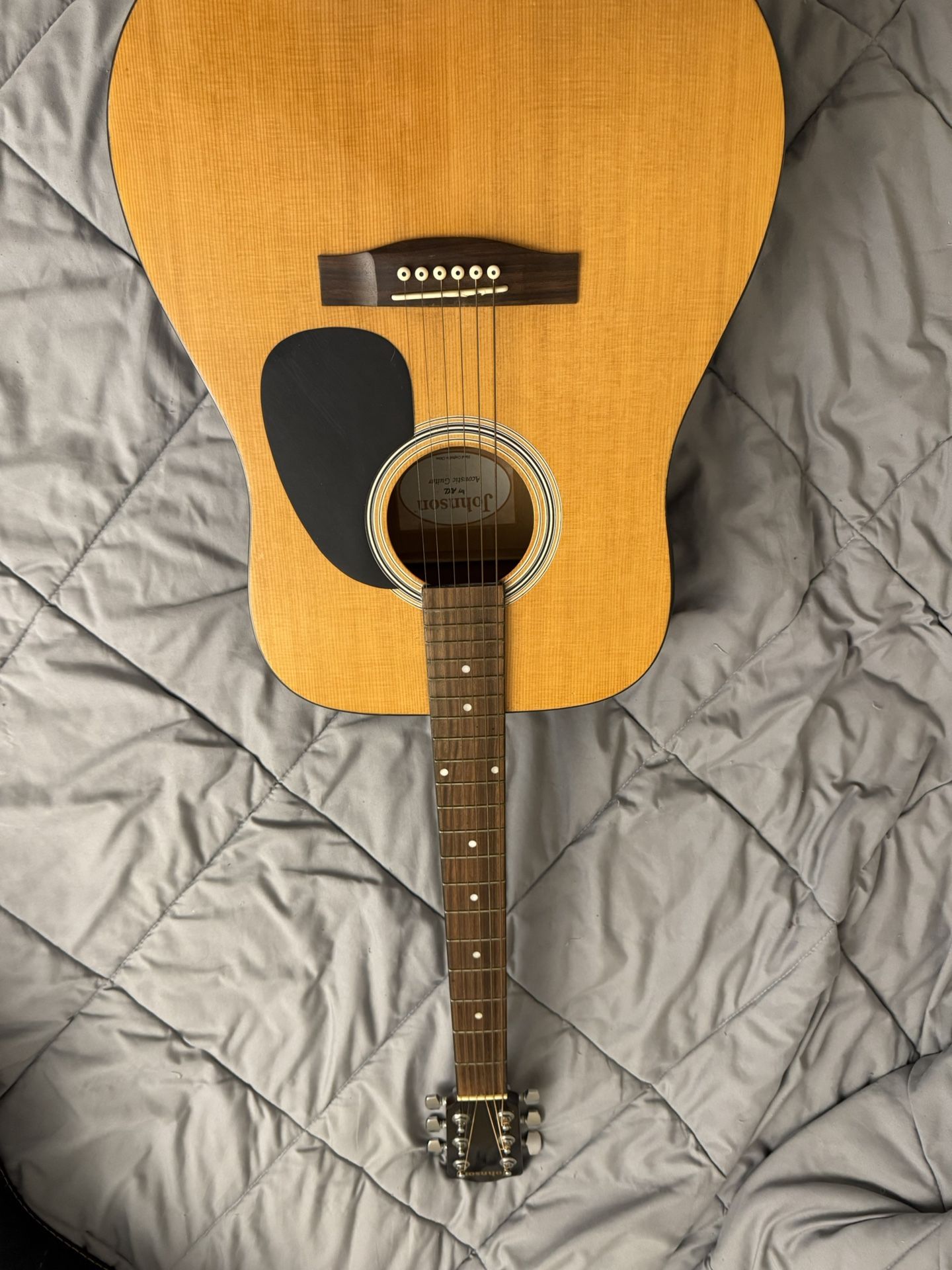 Johnson Acoustic/Electric Guitar
