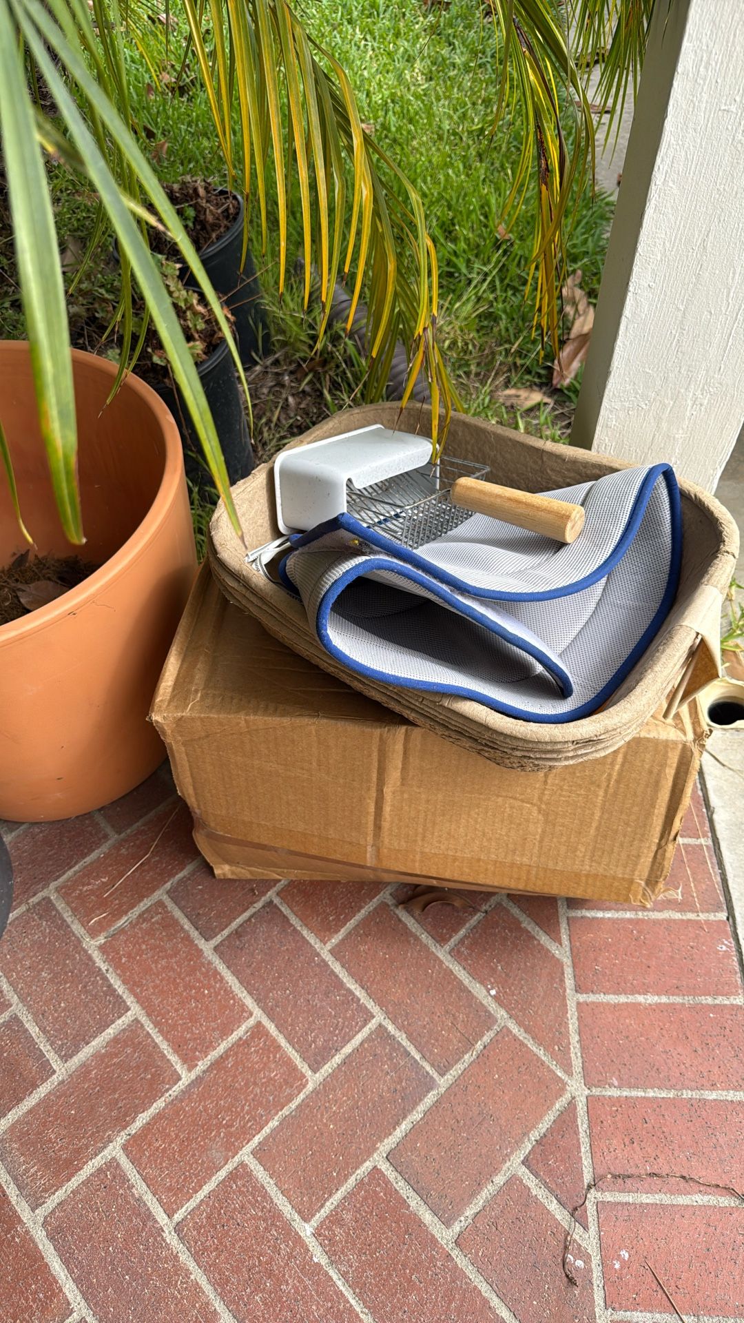 Cat Supplies -Free 