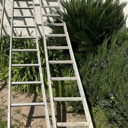 Extendable Ladder 40’ 