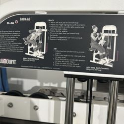 Paramount FL-36 Back/Ab Fitness Equipment 