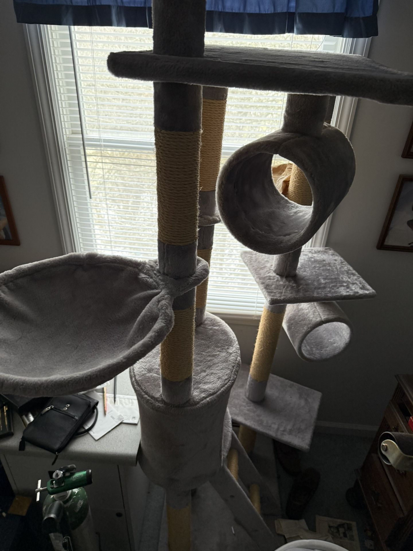 Cat Jungle Gym