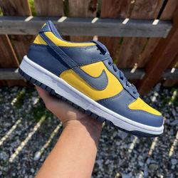 Nike Dunk Low Michigan (Size 6.5Y, 7Y)