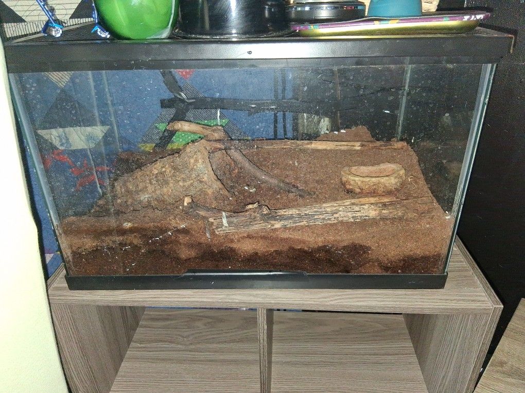 Tank