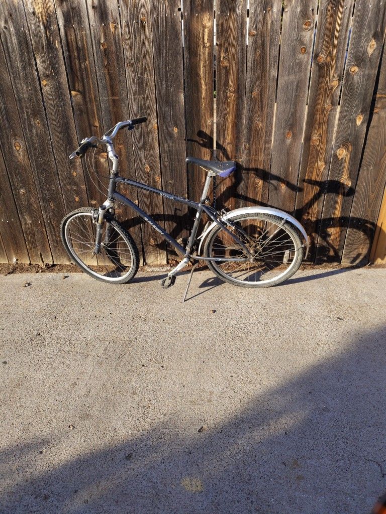 Raleigh Atomic 13 Aluminum