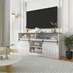 Modern TV Stand With Storage 