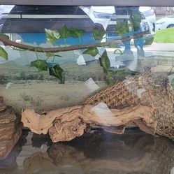 40 Gallon Reptile Terrarium Complete Set