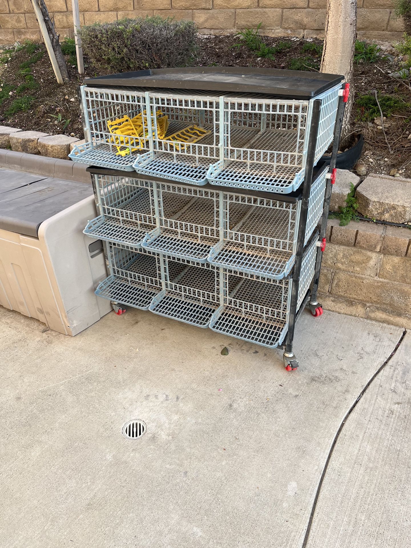 Quail Breeding Pen