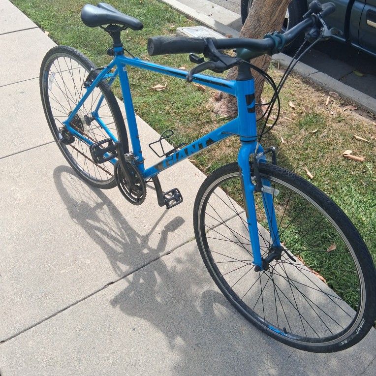Giant Bike