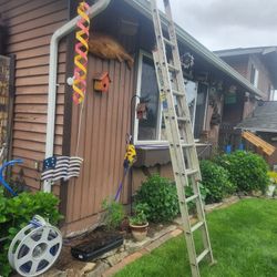 Werner 16 Foot Ladder