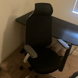 Ergonomic Chair 