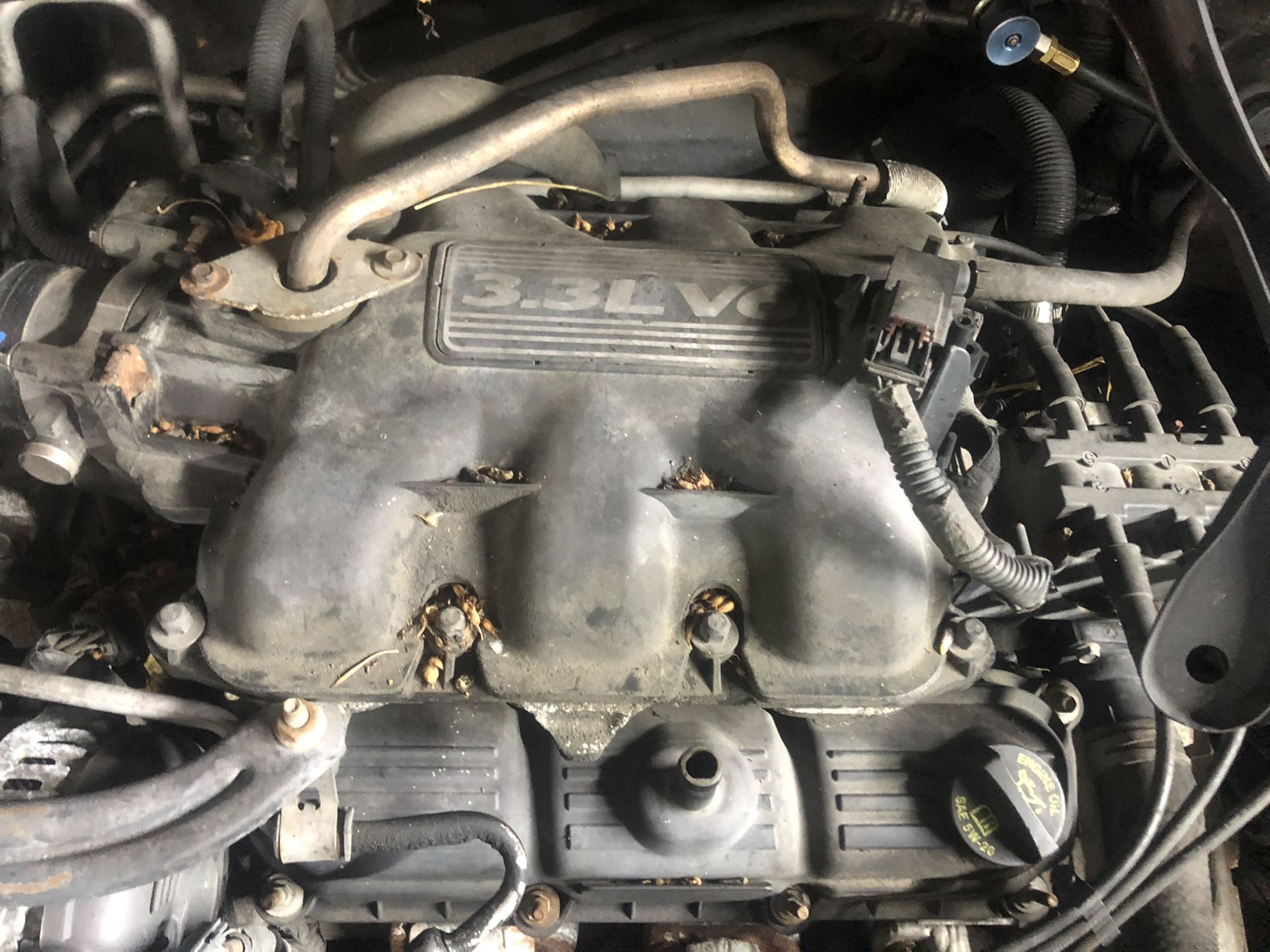 2010 Dodge Grand Caravan