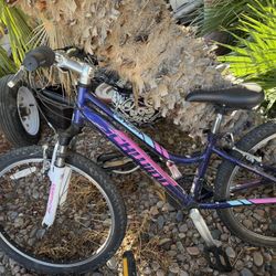 🚲 6 Bicycles for Sale – $150 for All! 🚲