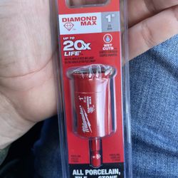 Milwaukee and Diablo Bits