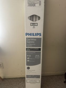 Lamps 6 End To The Box 