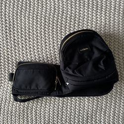 Tushbaby Hip Carrier