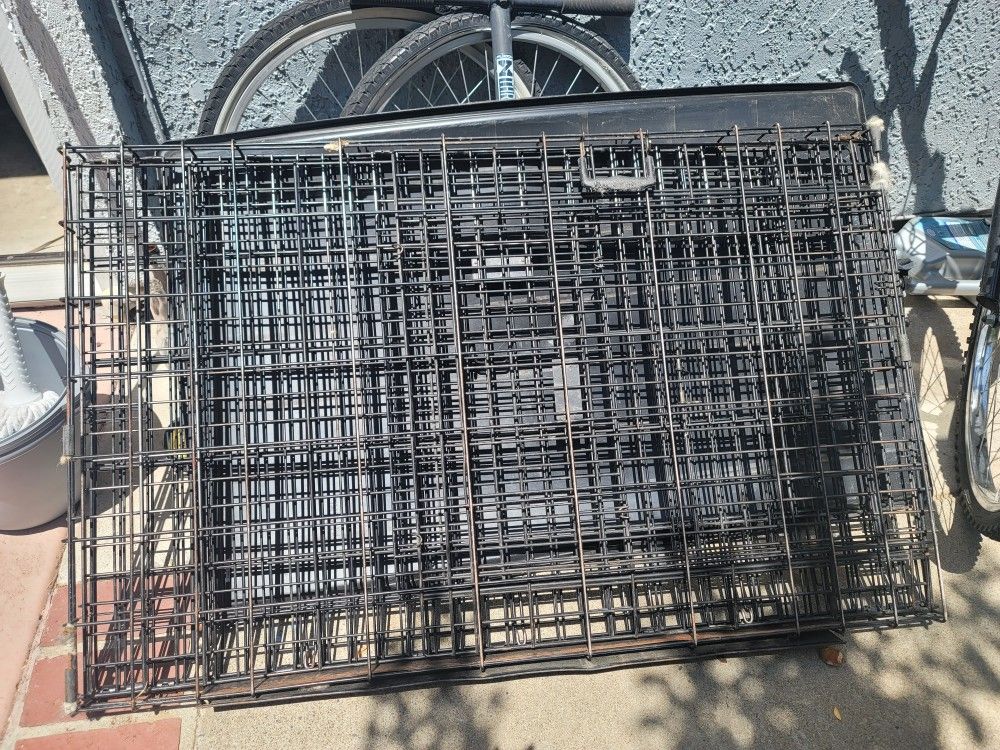 Kong Crate XL