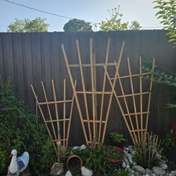 Cedar Trellis