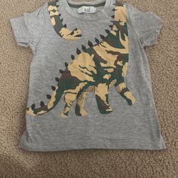 Boys T Shirt Size 5T