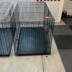 Large Dog Cages