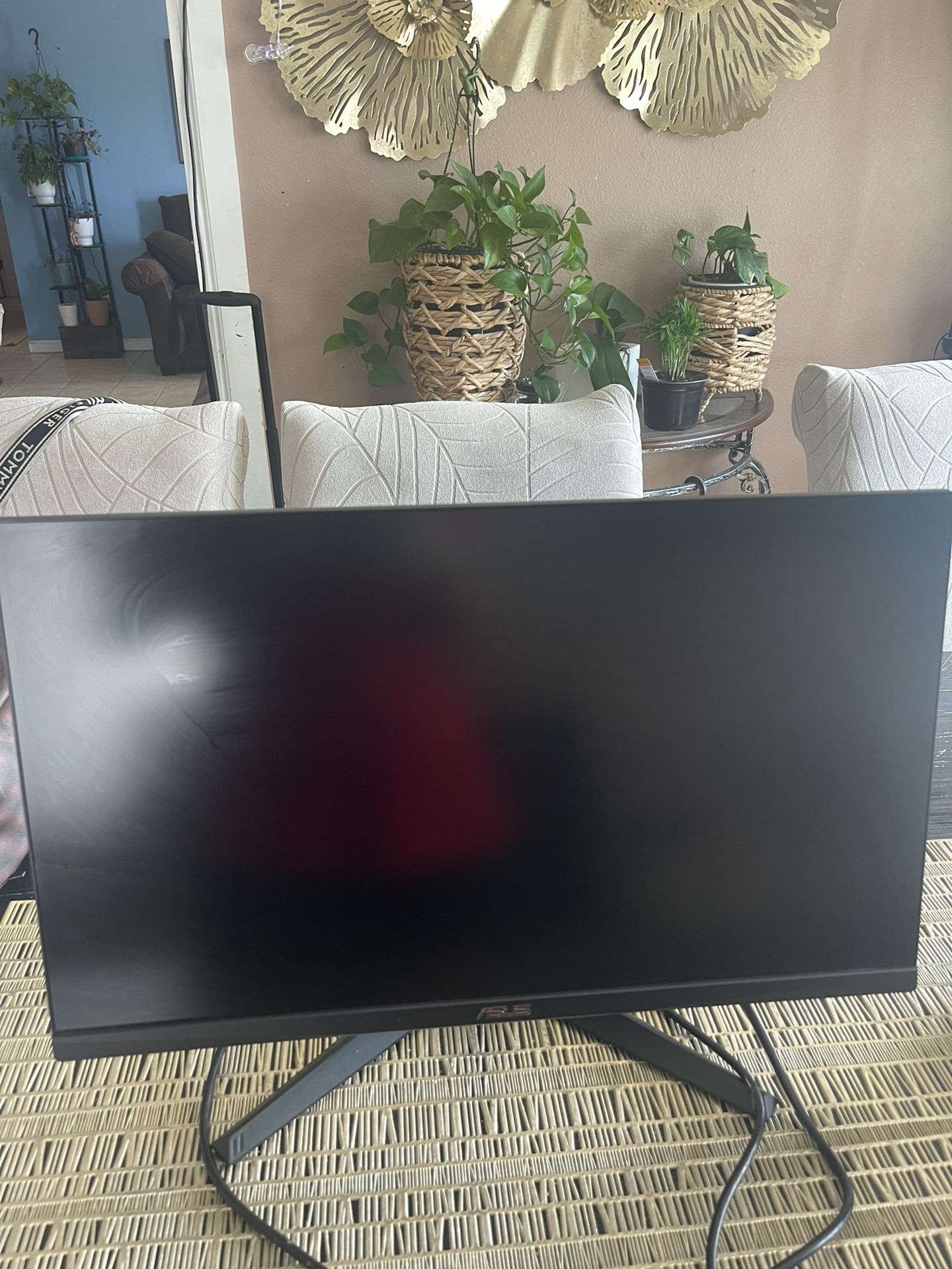 ASUS GAMING MONITOR 144 HZ 1080p