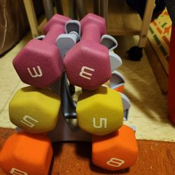 Exercise Equipment (Entire Set!)