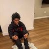 JAY 334