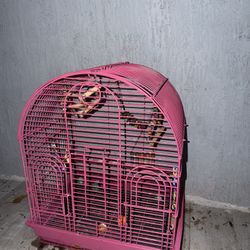 Bird cage 