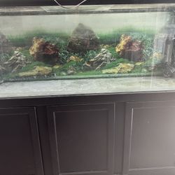 Big 140 Gallon Fish Tank 