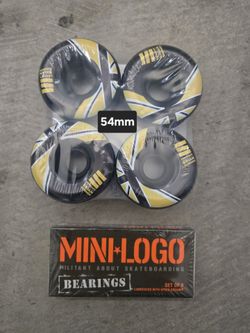 Skateboard Wheels and bearings