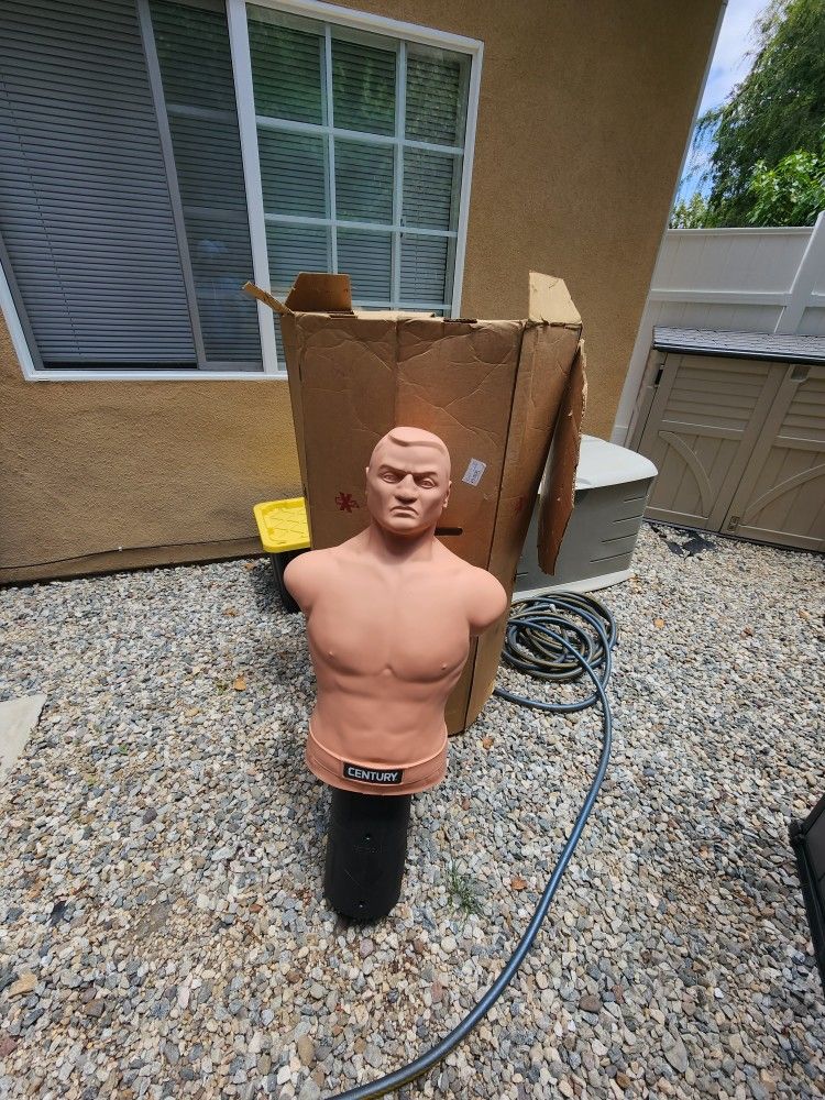 Punching Bag/body, Century Bob