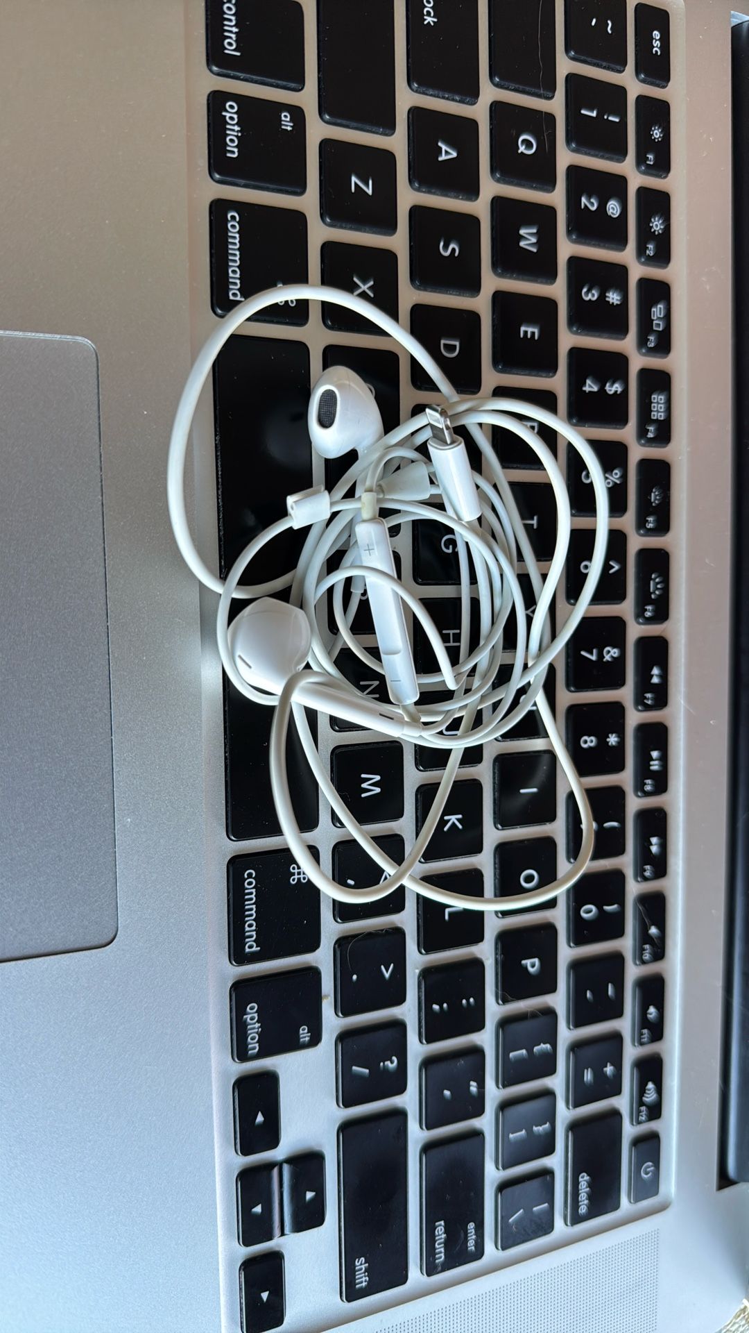 Apple Earphones
