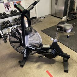 Rogue Echo Bike