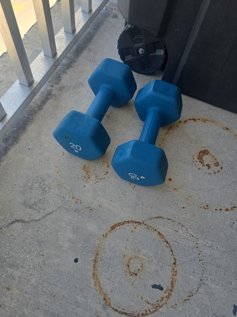 DUMBBELLS 20 POUNDS PAIR