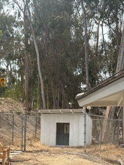 Dog house and fence