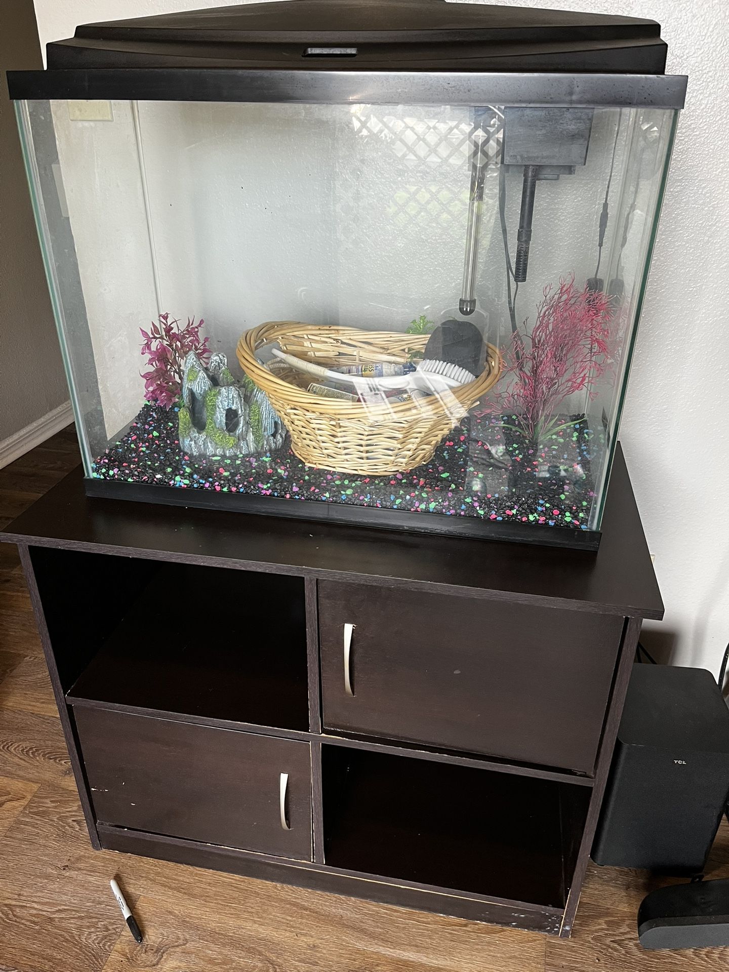 Fish Tank Setup