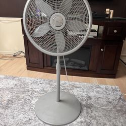 Oscillating Adjustable Fan
