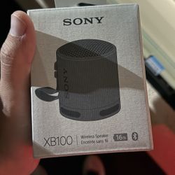 Sony XB 100