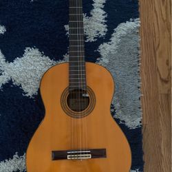 Guitar