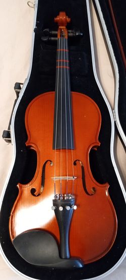 Viola