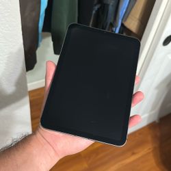 iPad Mini 6 (256 GB + Cellular)